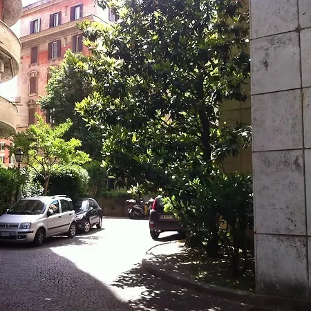 Cozy And Charming Vatican