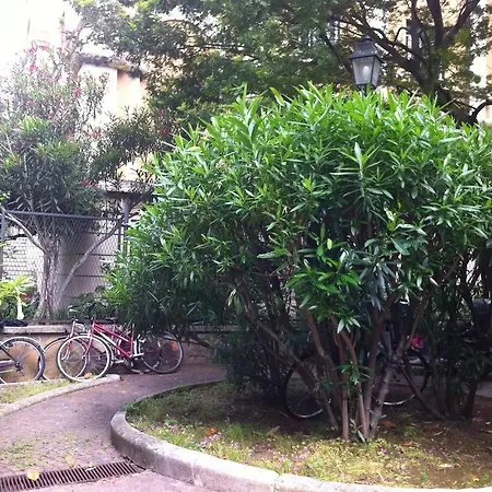 Cozy And Charming Vatican *